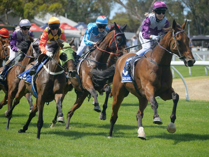 Image for Kangaroo Island Cup Carnival