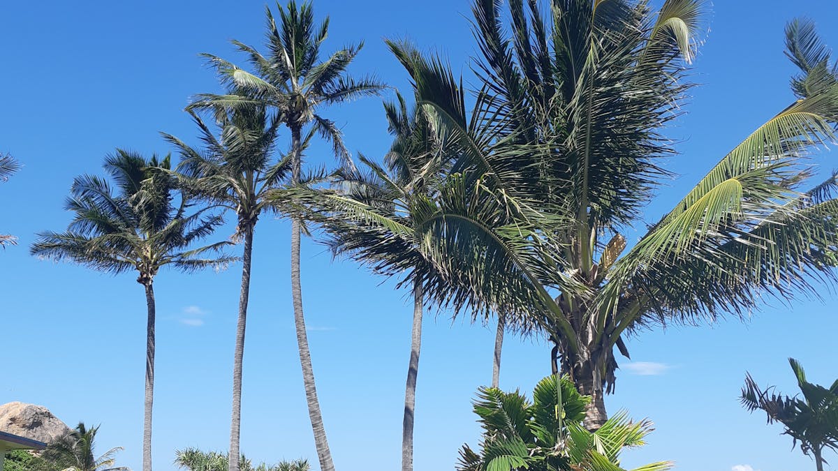 View from the Resort