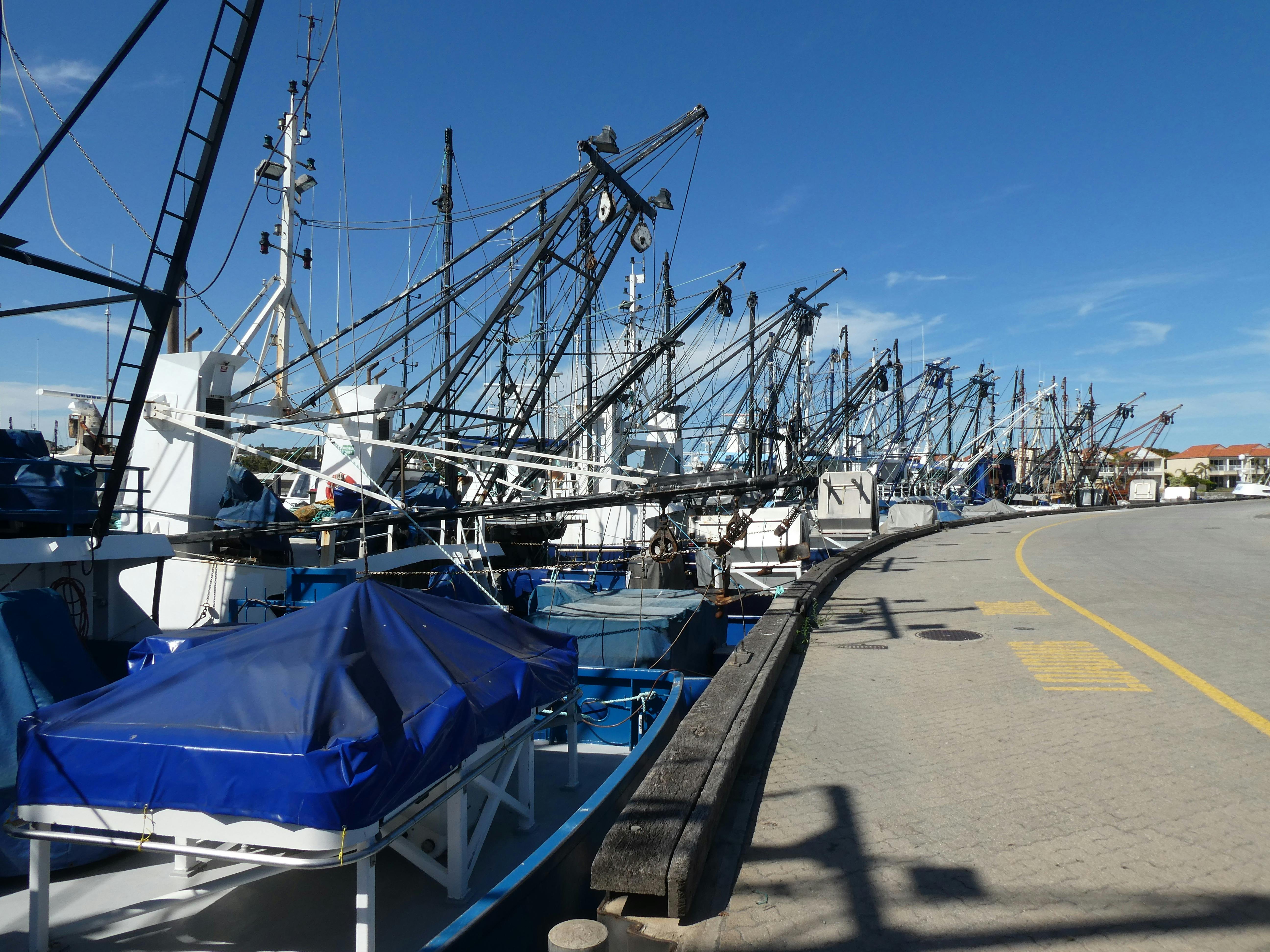 Fishing Fleet, Port Lincoln Marina, Eyre Peninsula