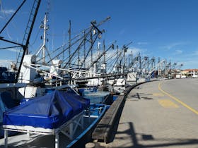 Fishing Fleet, Port Lincoln Marina, Eyre Peninsula