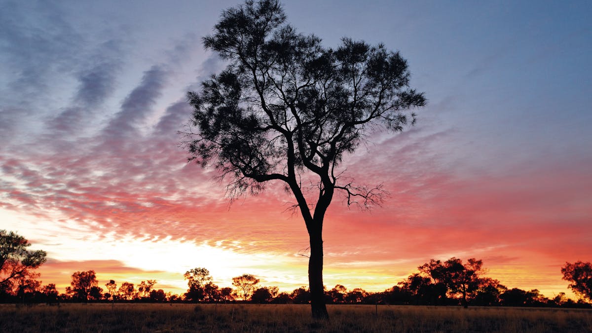 This is a photo of an outback sunset