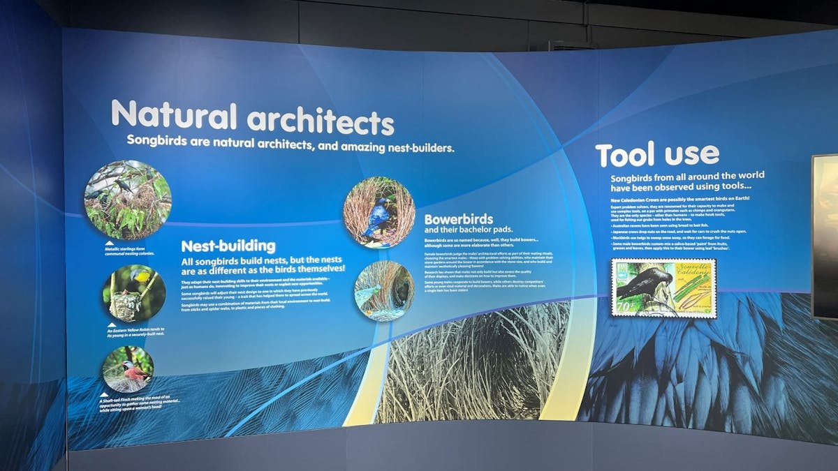An interactive fossil display.
