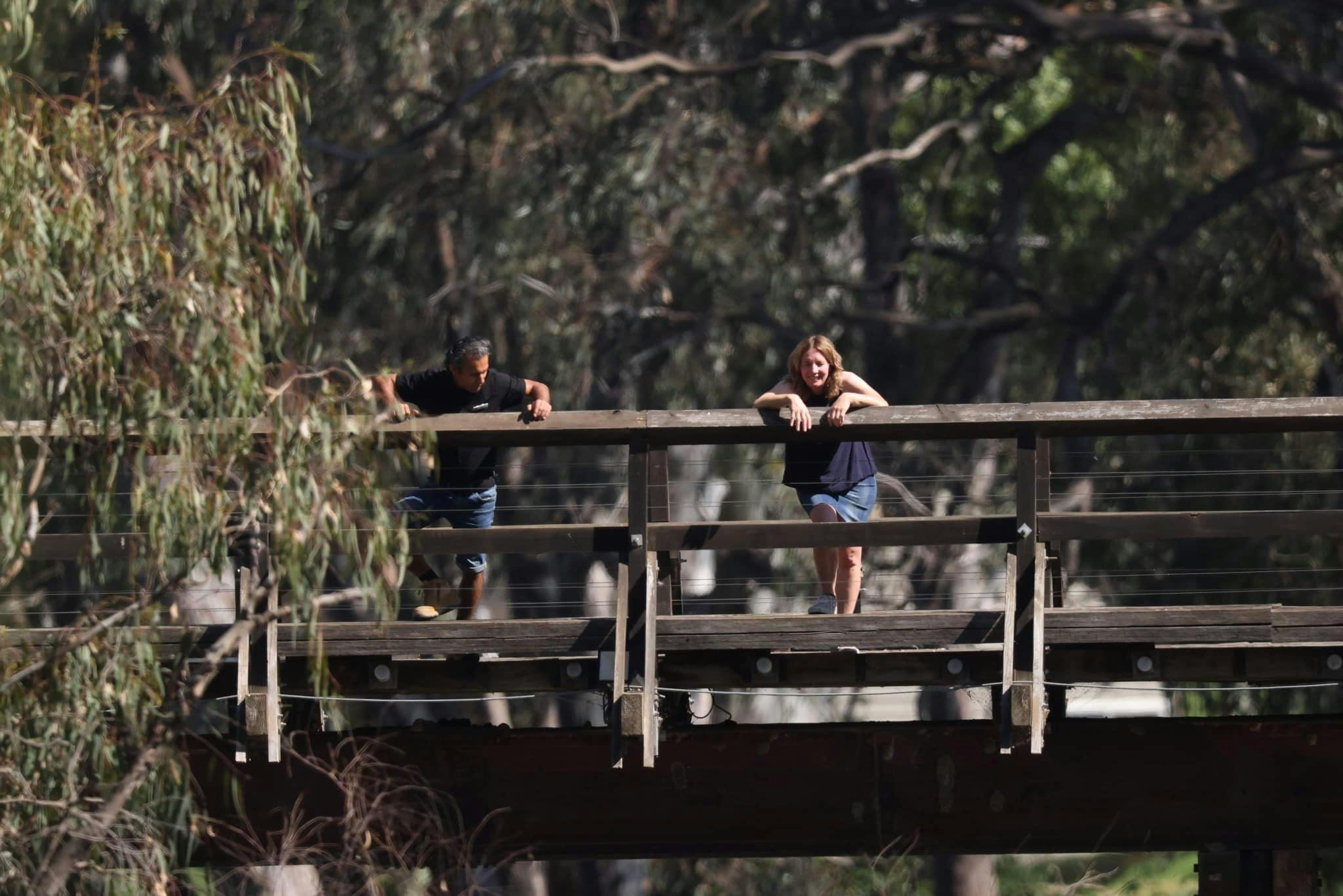 Sunday Creek Bridge Pfeiffer Wines