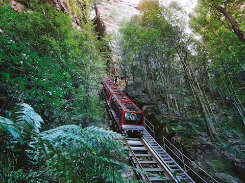 Blue Mountains inc Scenic World, Harbour Ferry , Waterfalls, Zoo and Koala Photo