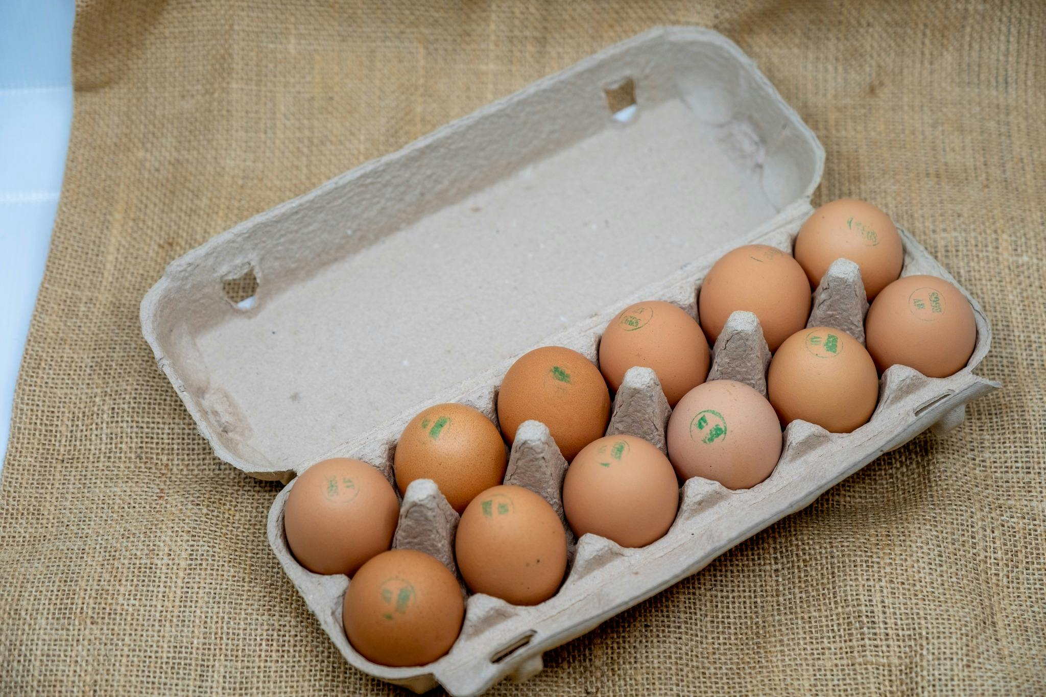 Fresh Eggs Direct from the Farm Gate