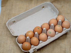 Fresh Eggs Direct from the Farm Gate