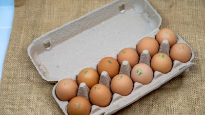 Fresh Eggs Direct from the Farm Gate