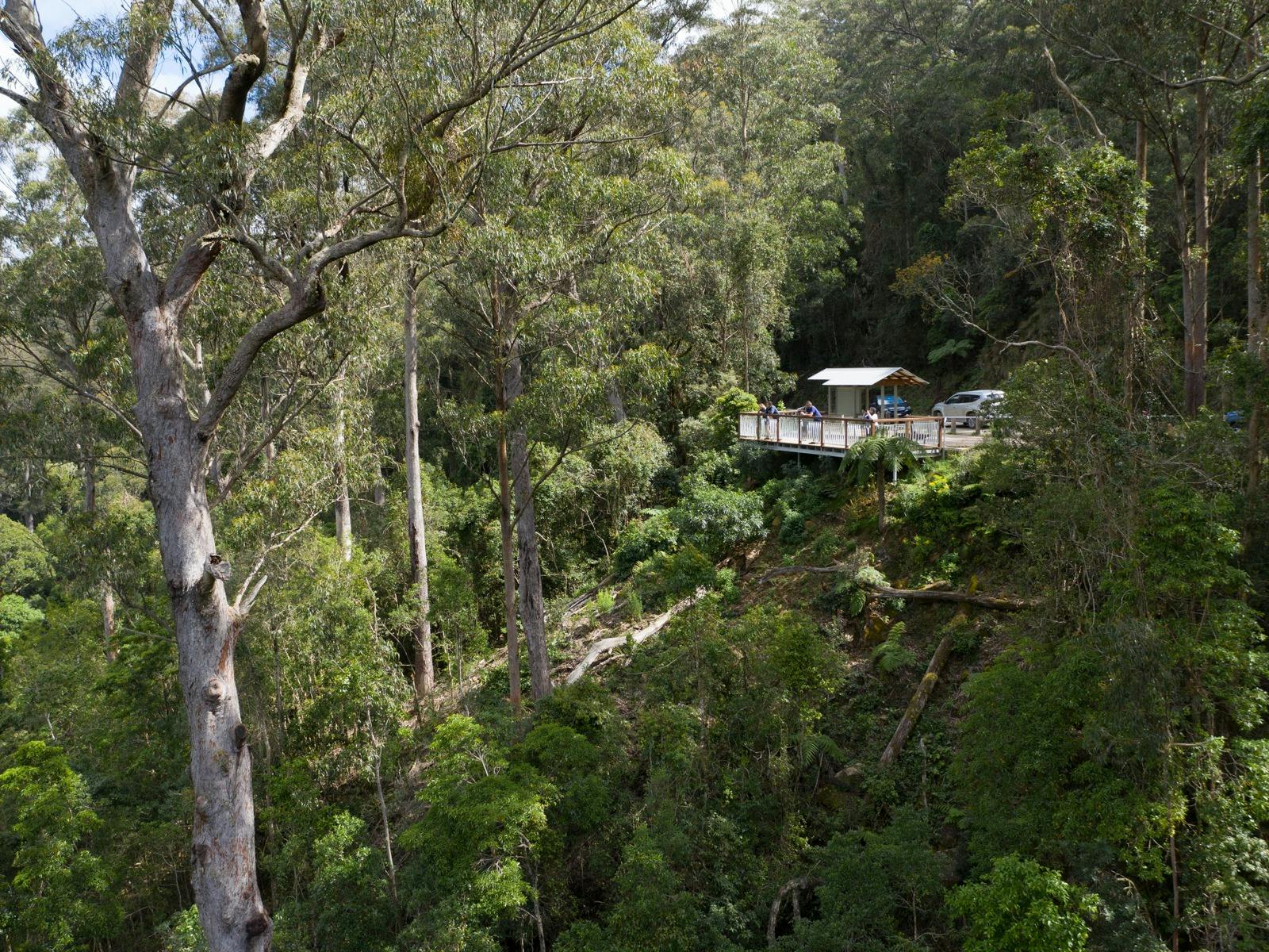 Cobark Lookout offers great views north of Barrington Tops.