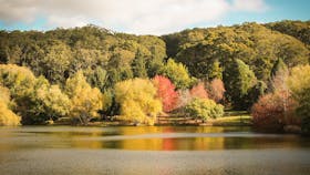 Mount Lofty Botanic Garden in autumn is one of the Adelaide Hills' most iconic sights.