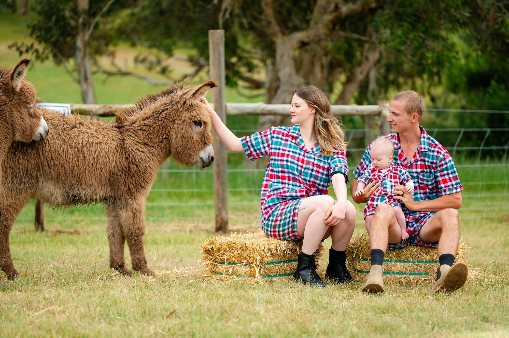 Pose for photos with your faviourt animal - Christmas time on the farm with this lovely family
