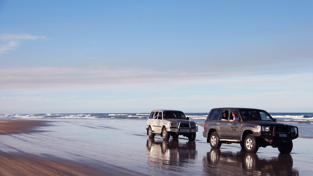 Pippies Fraser Island Tours