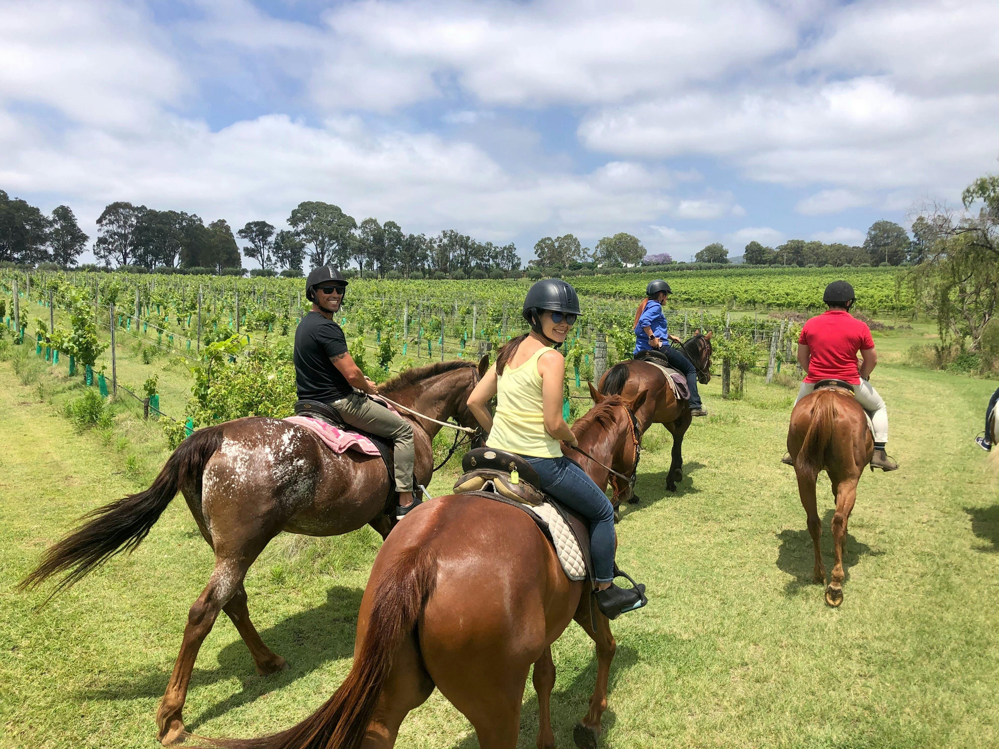 Murchessons Equine Tour