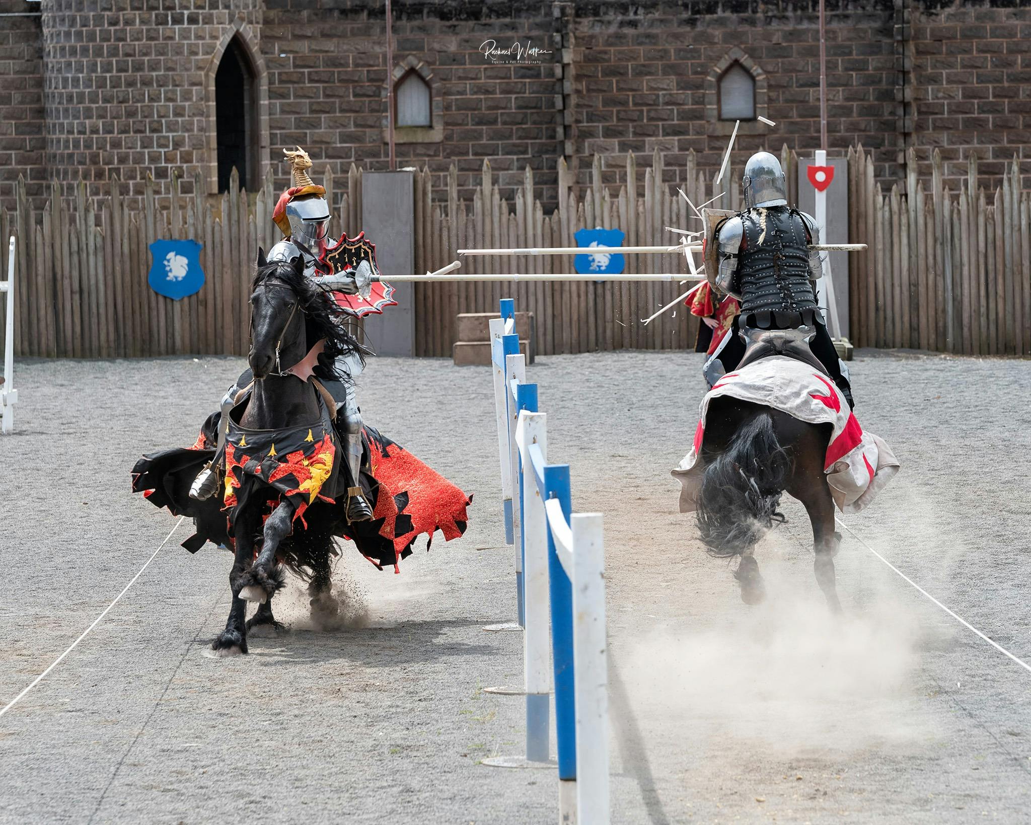Jousting in the Arena
