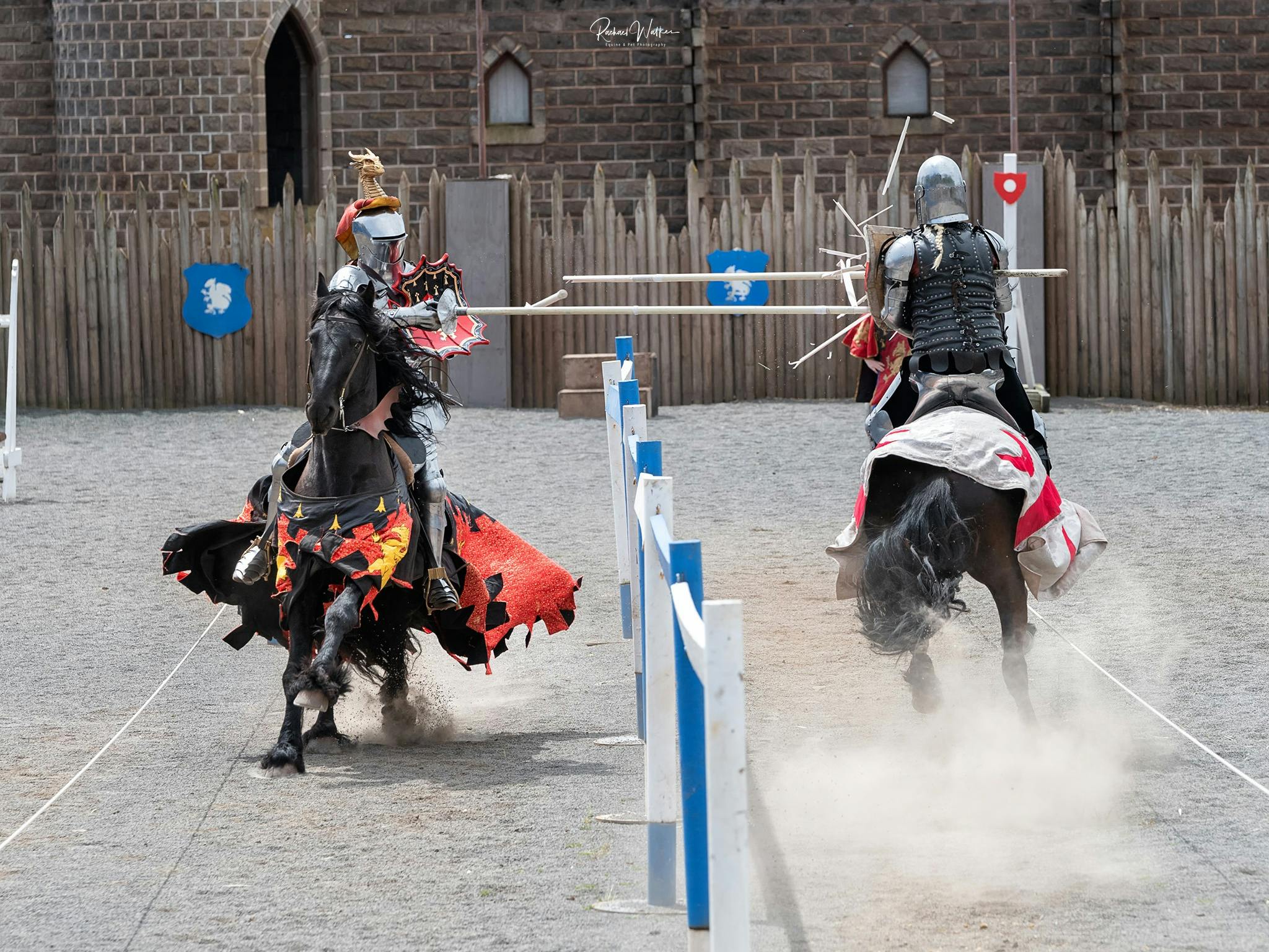 Jousting in the Arena