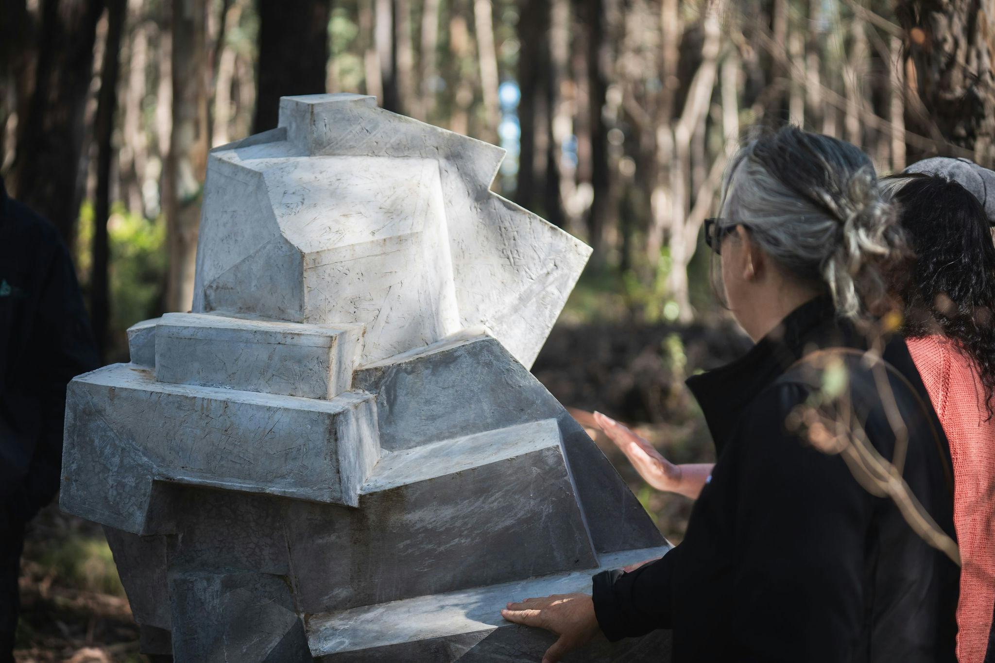 Bruatlist sculpture by Vojtech Mica, Alpine Ash Walk, Bago State Forest