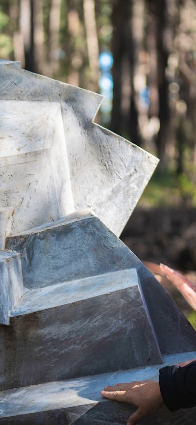 Bruatlist sculpture by Vojtech Mica, Alpine Ash Walk, Bago State Forest