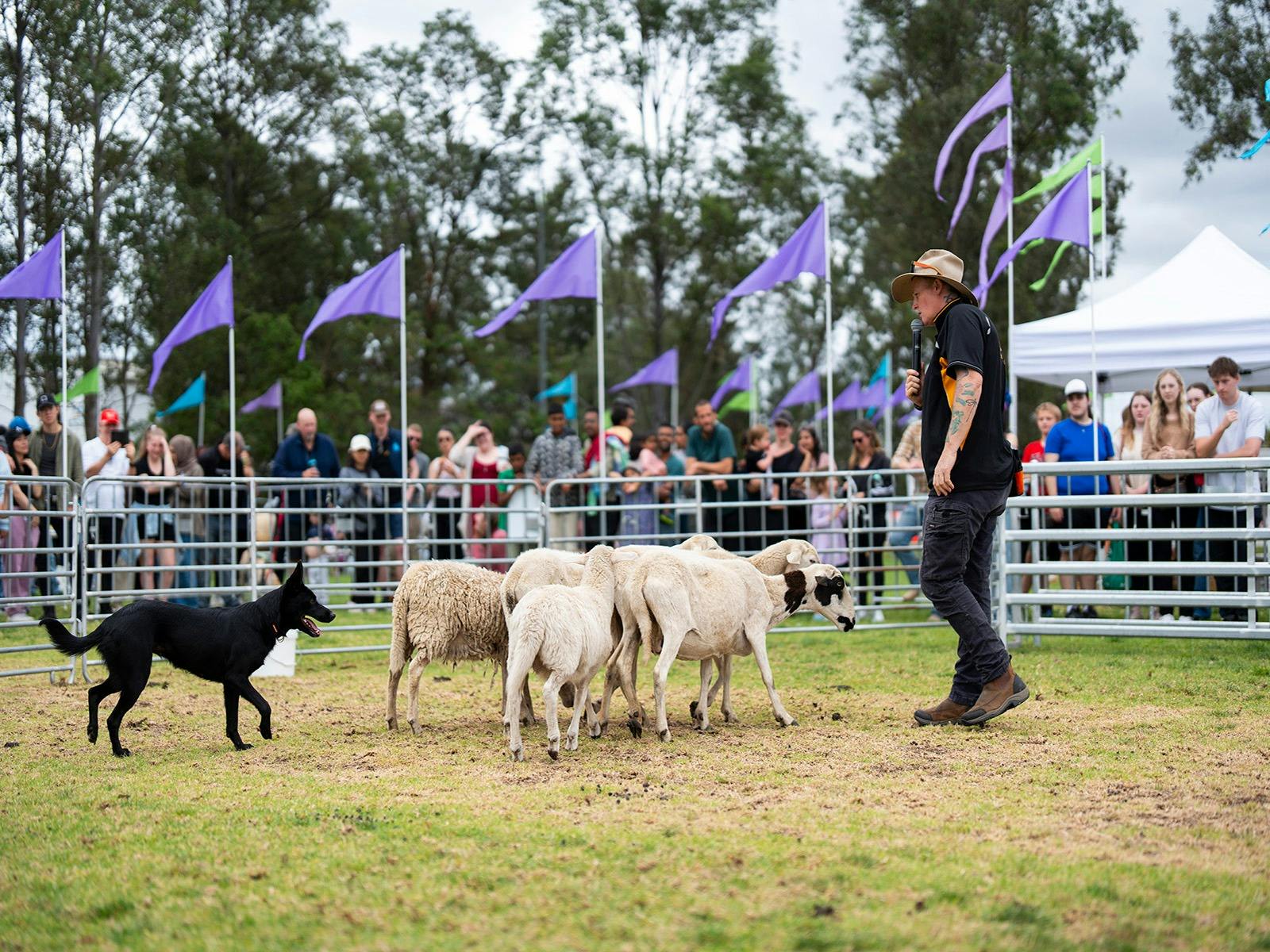 Blacktown Pet Festival