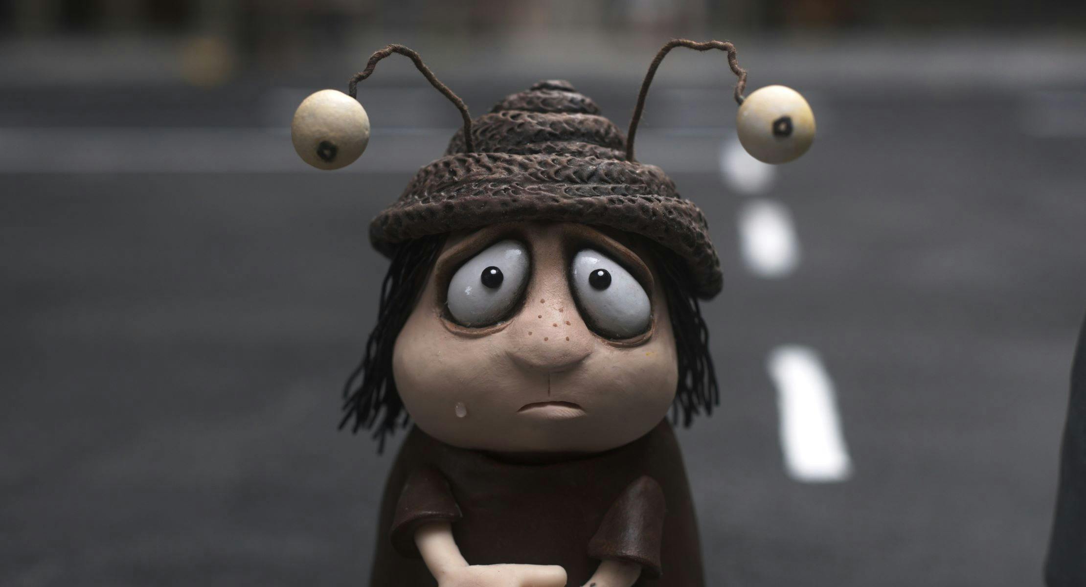 Memoir of a Snail Red Carpet Preview at Dendy Cinemas Coorparoo