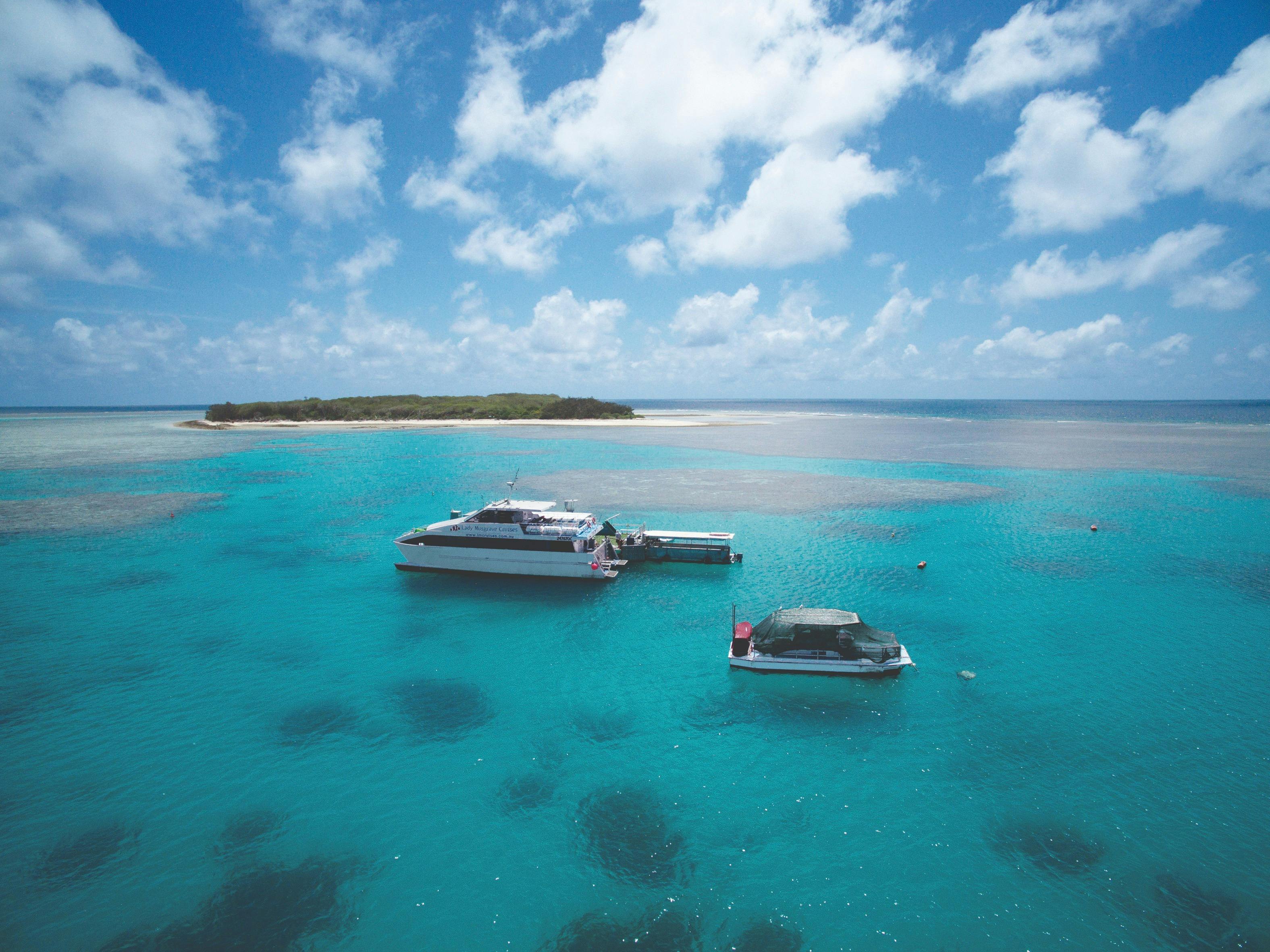 Bundy's Best And Lady Musgrave Island