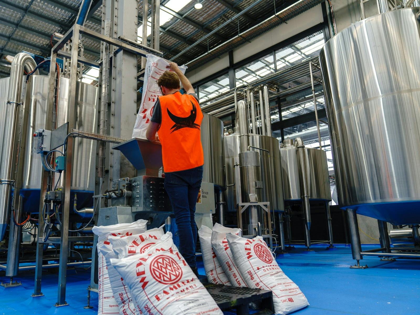 BrewDog DogTap Brisbane
