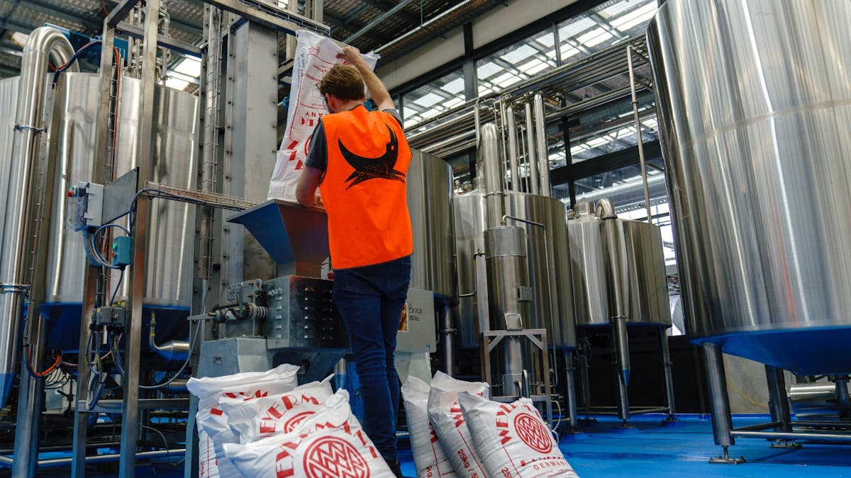 Brewery - Brewer pouring in malt