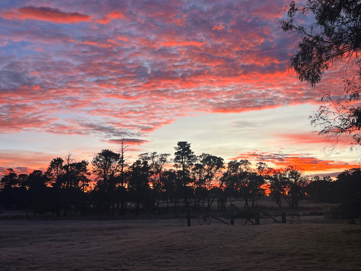 Sunrise