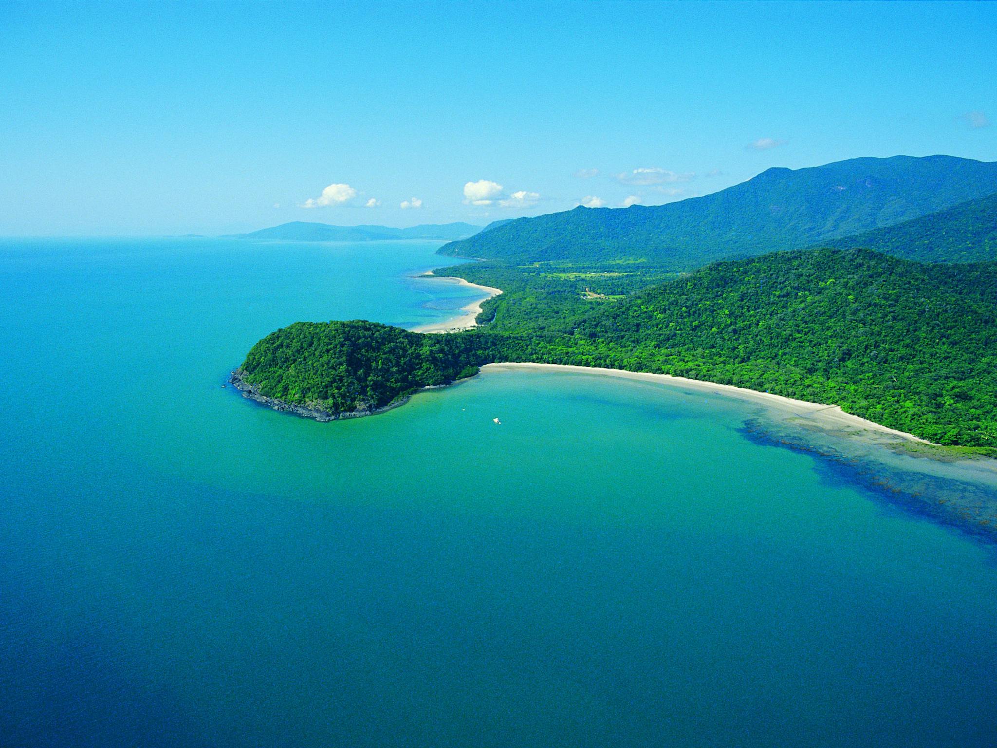 Daintree Rainforest tours Daintree Rainforest tours