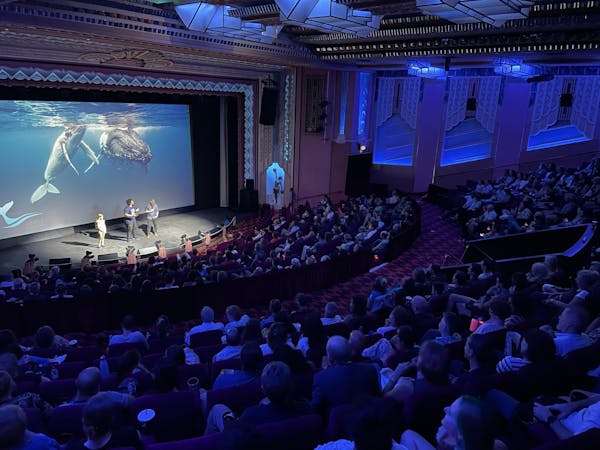 Oceans outlet film festival
