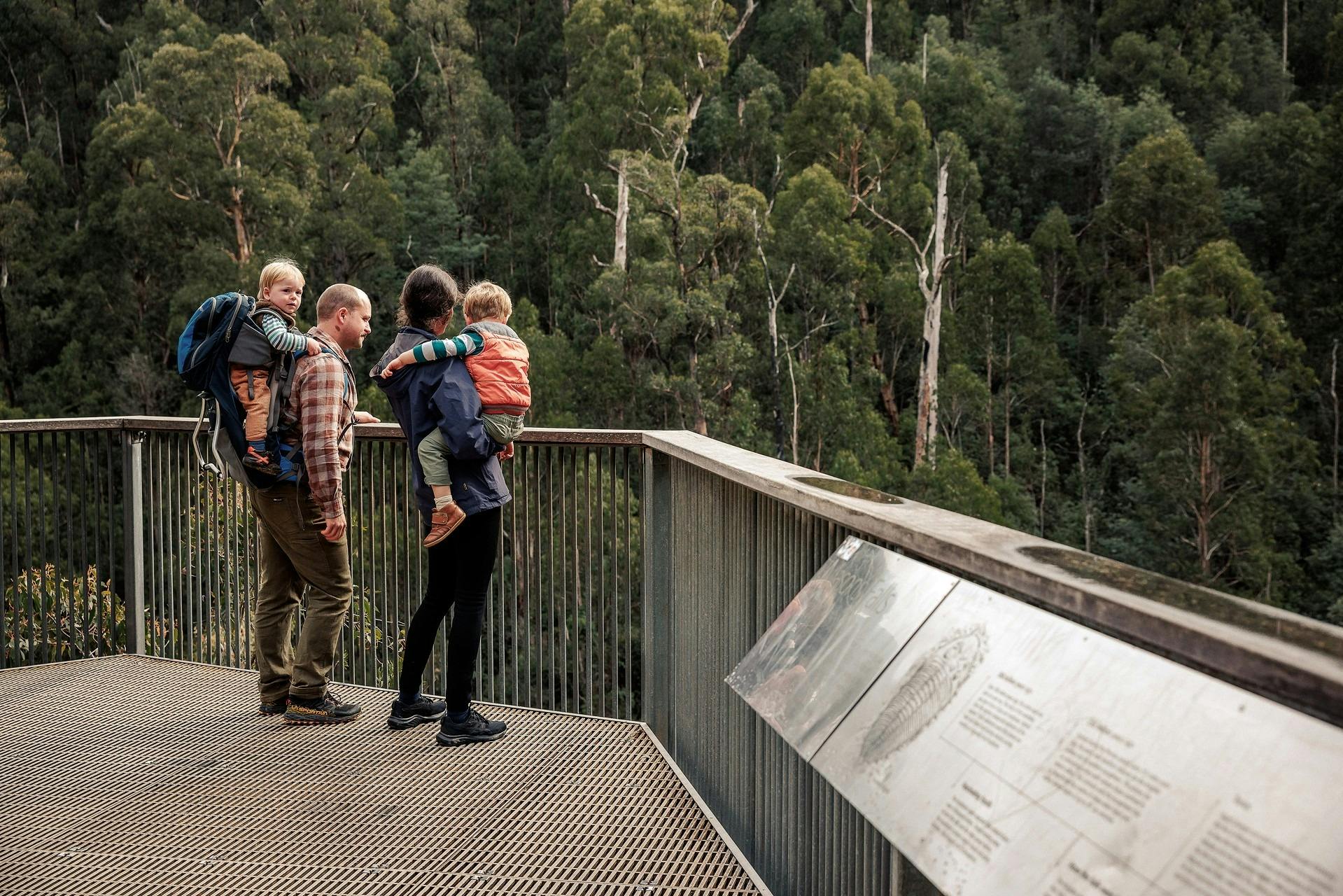 family of four standing at a lookout at Masons Falls