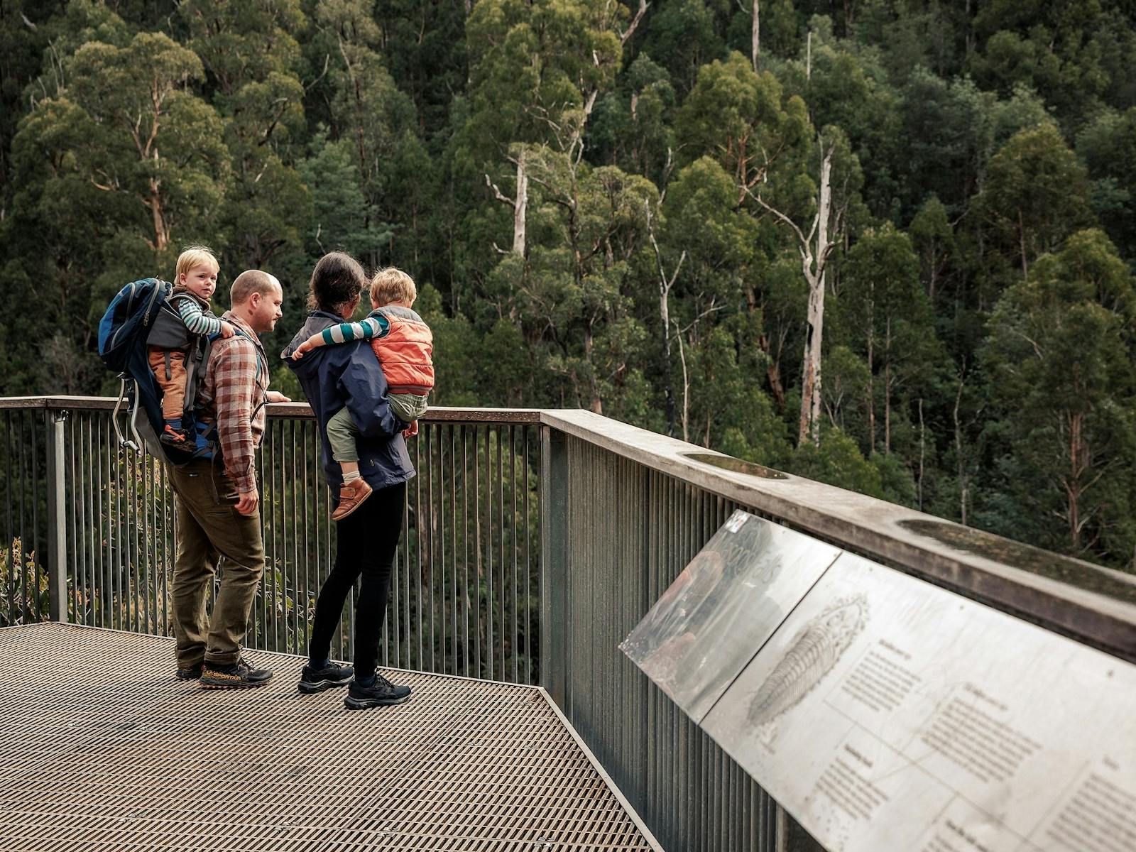 family of four standing at a lookout at Masons Falls
