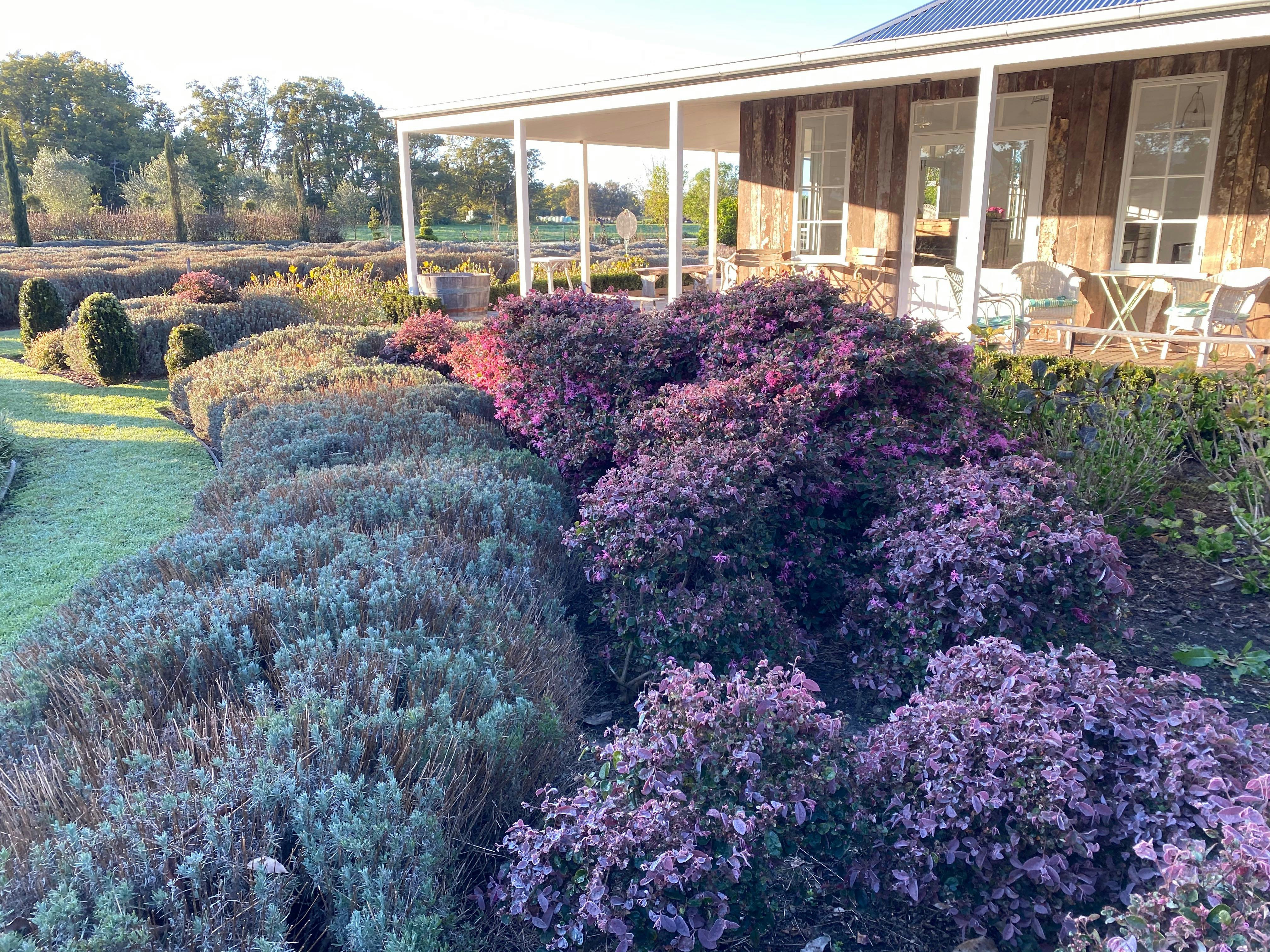 View across Mayfield cottage