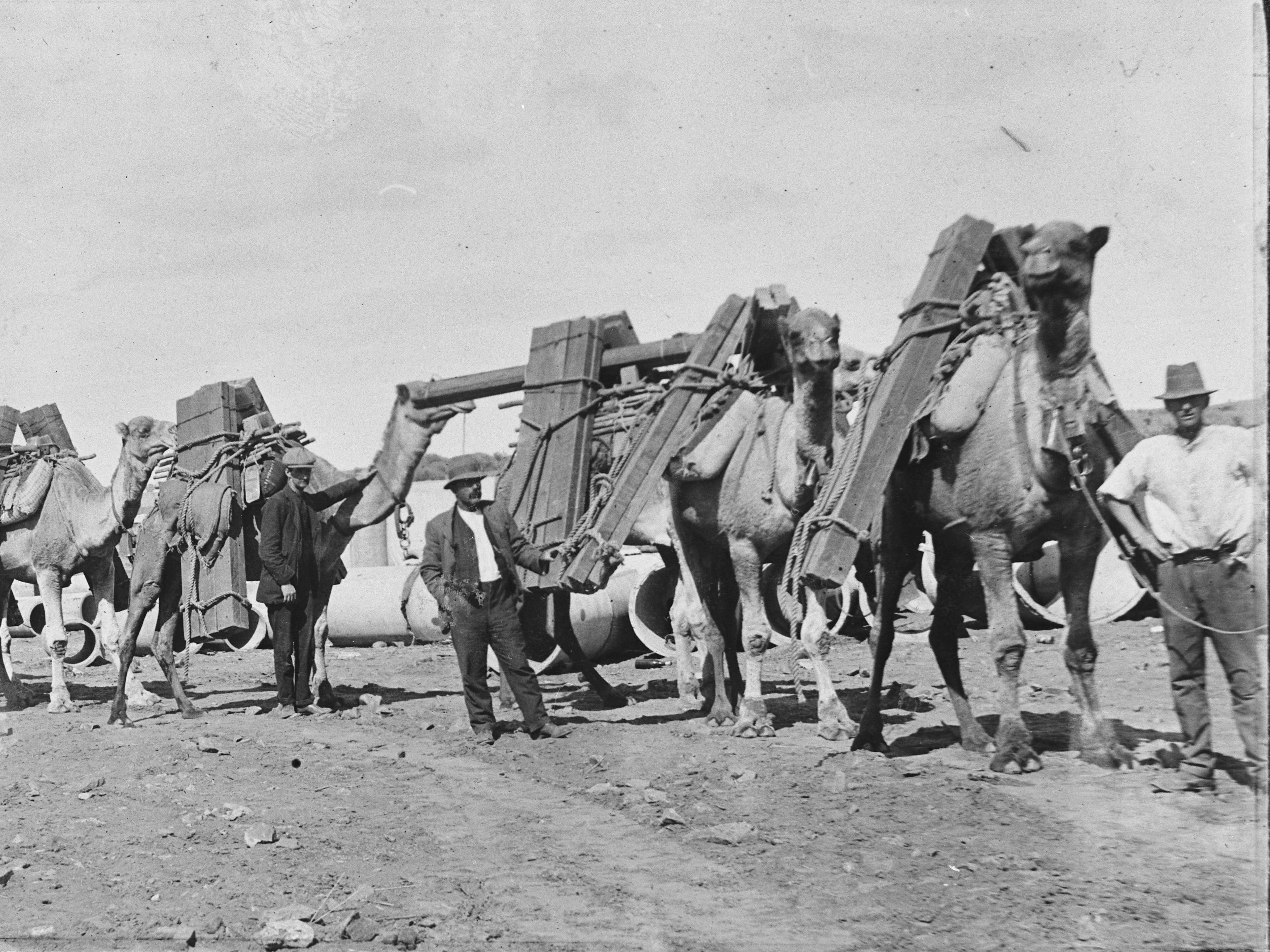 NAA: B3104, NEG 2