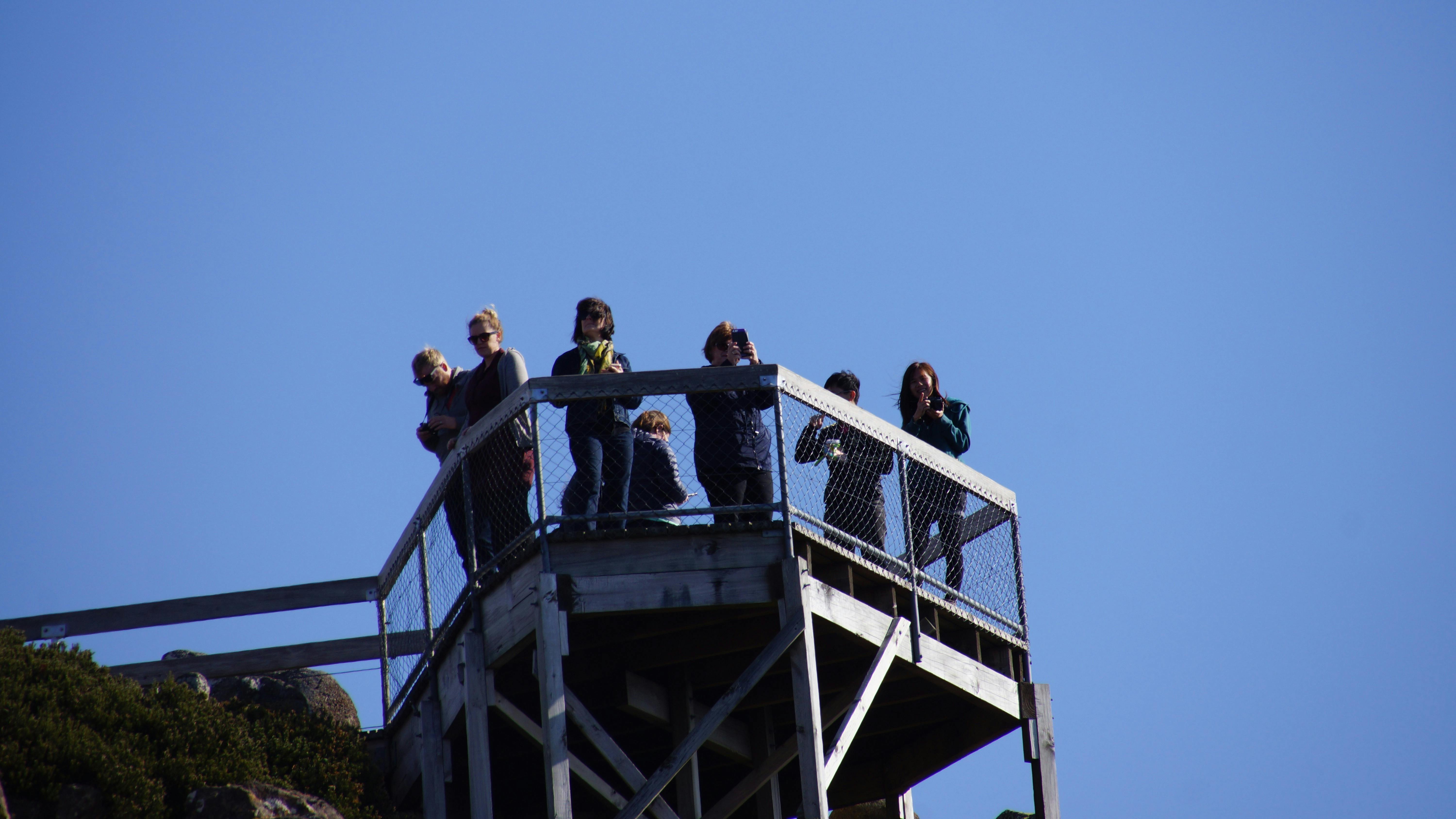 Hobart private tours,  Tassie local tours, things to do in tasmania and mount wellington