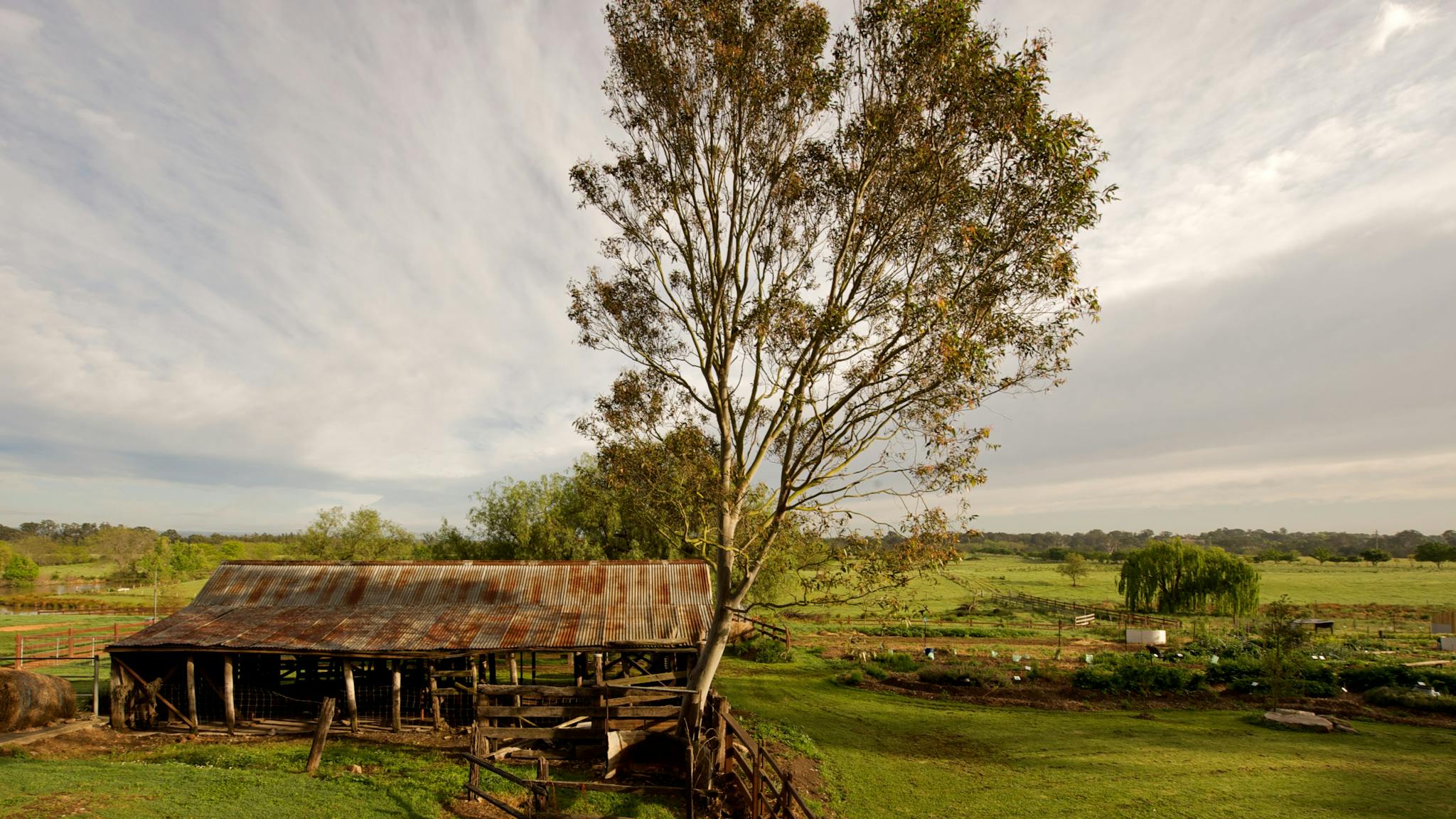 Camden Community Gardens
