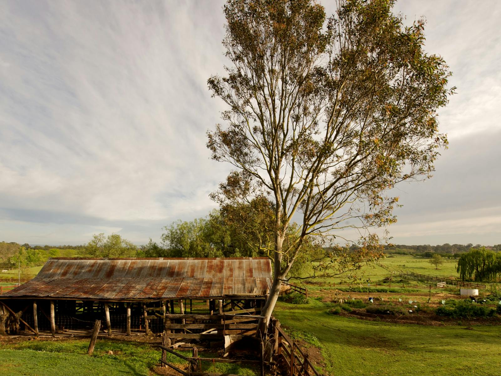 Camden Community Gardens