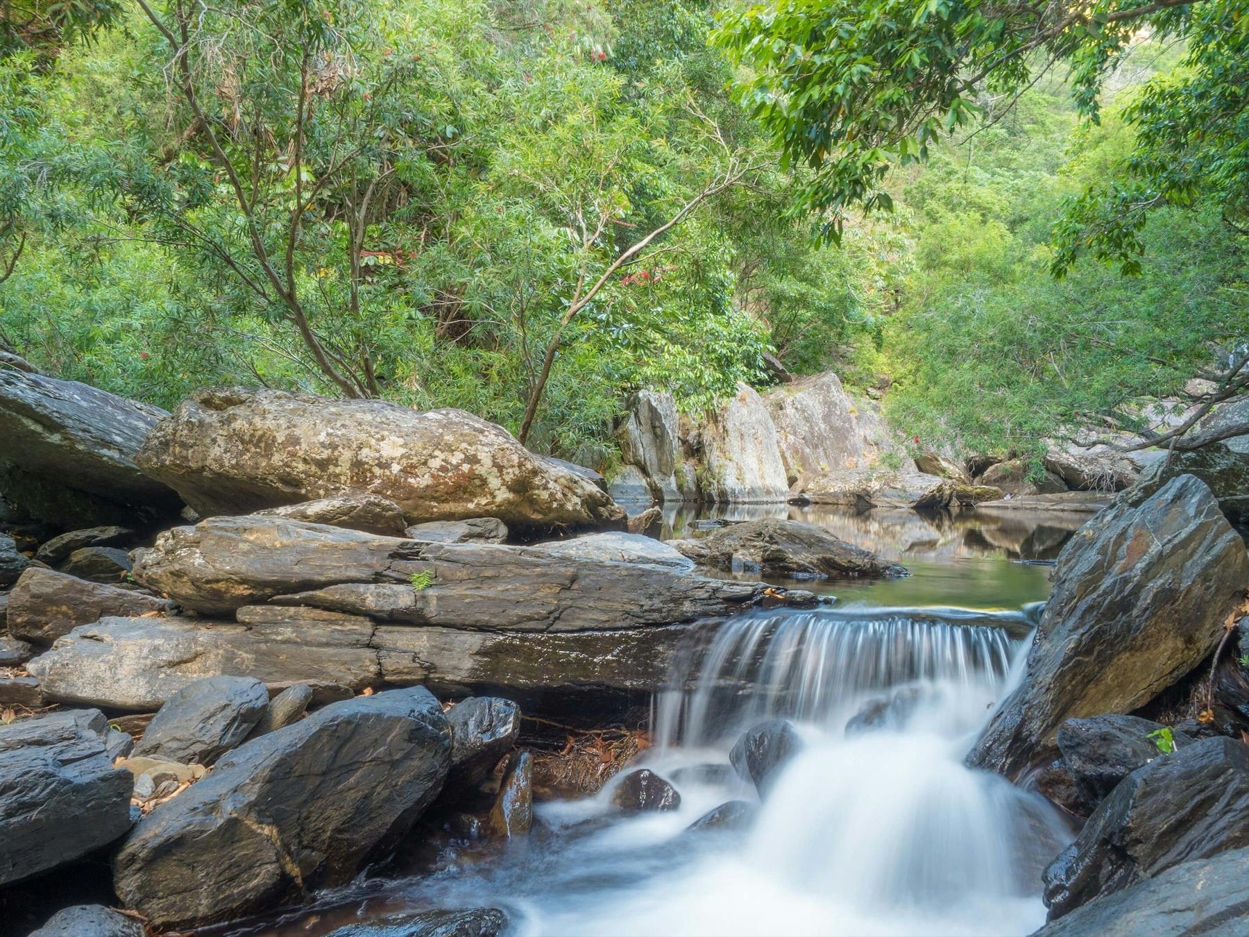 Cascades at Spring Creek Falls