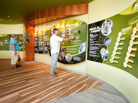 Interpretive Area