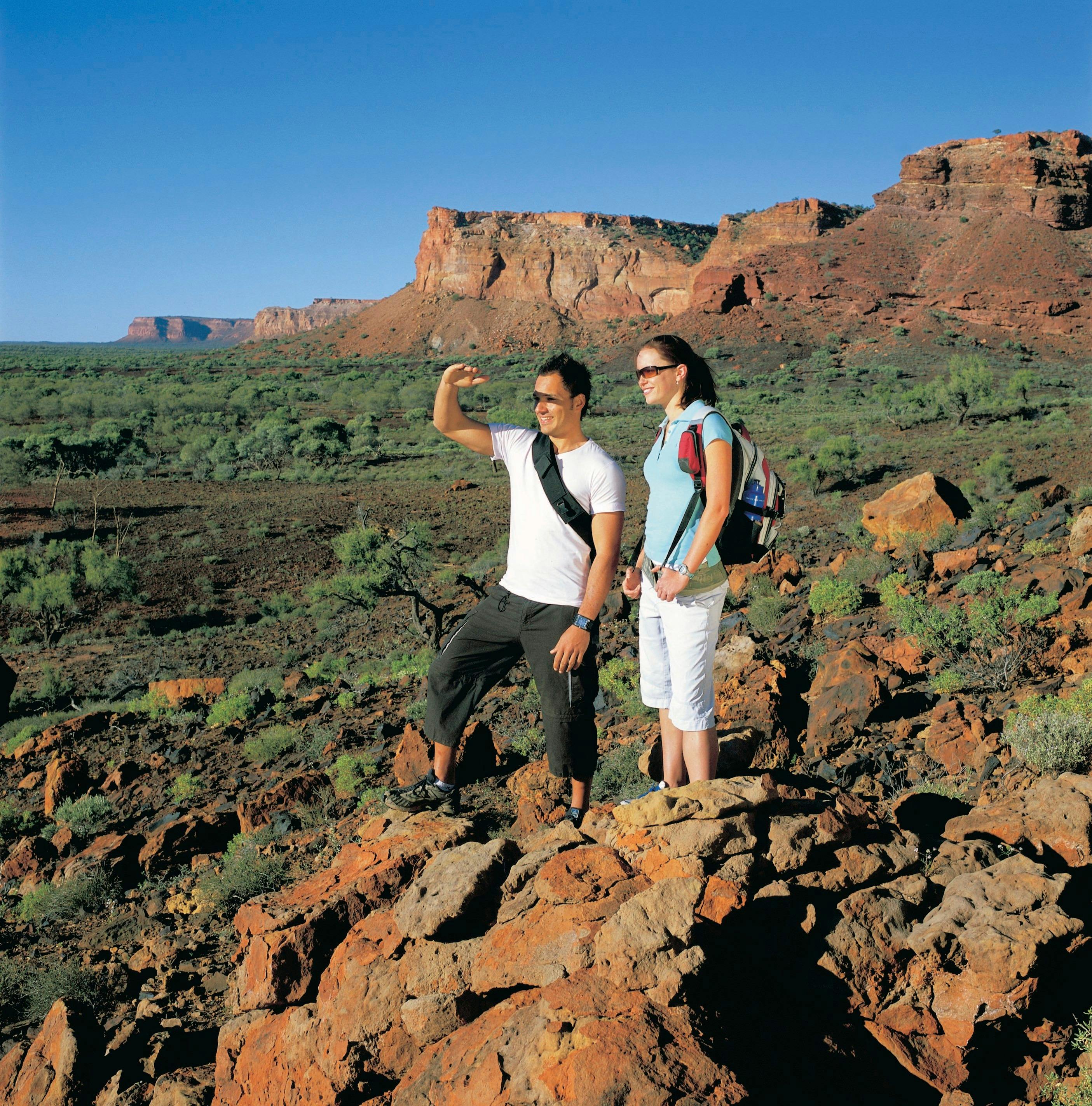 Northern Explorer Wildflower Trail, Kennedy Range, Western Australia