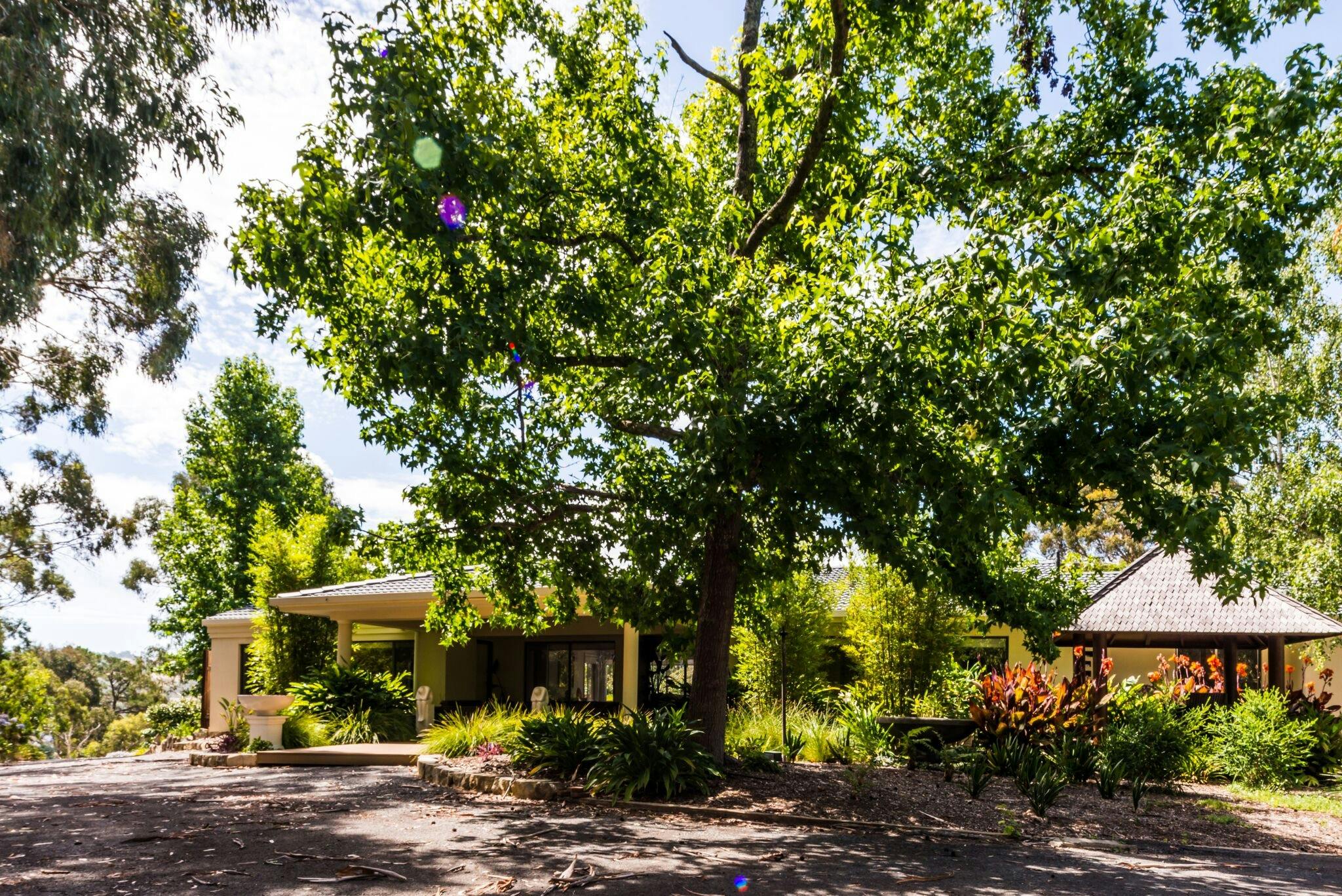 Ayurveda Village