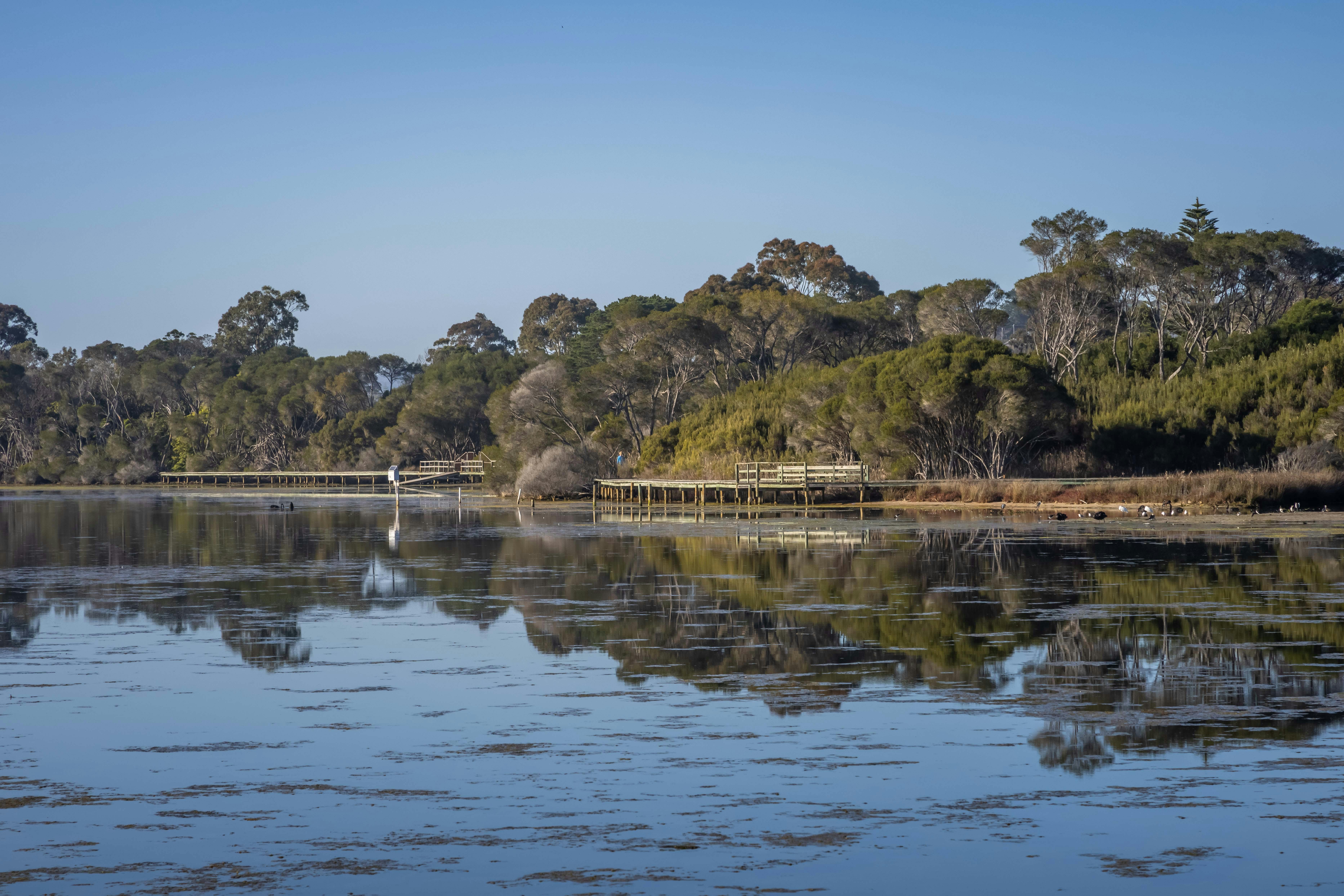 Lake Curalo Boardwalk, Eden, walks, boardwalk, lagoon, Sapphire Coast, South Coast, beach walks