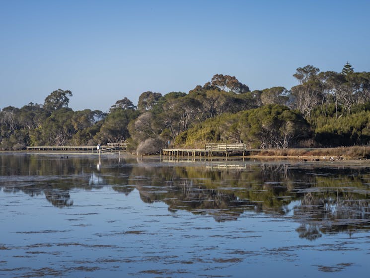 Lake Curalo Boardwalk, Eden, walks, boardwalk, lagoon, Sapphire Coast, South Coast, beach walks