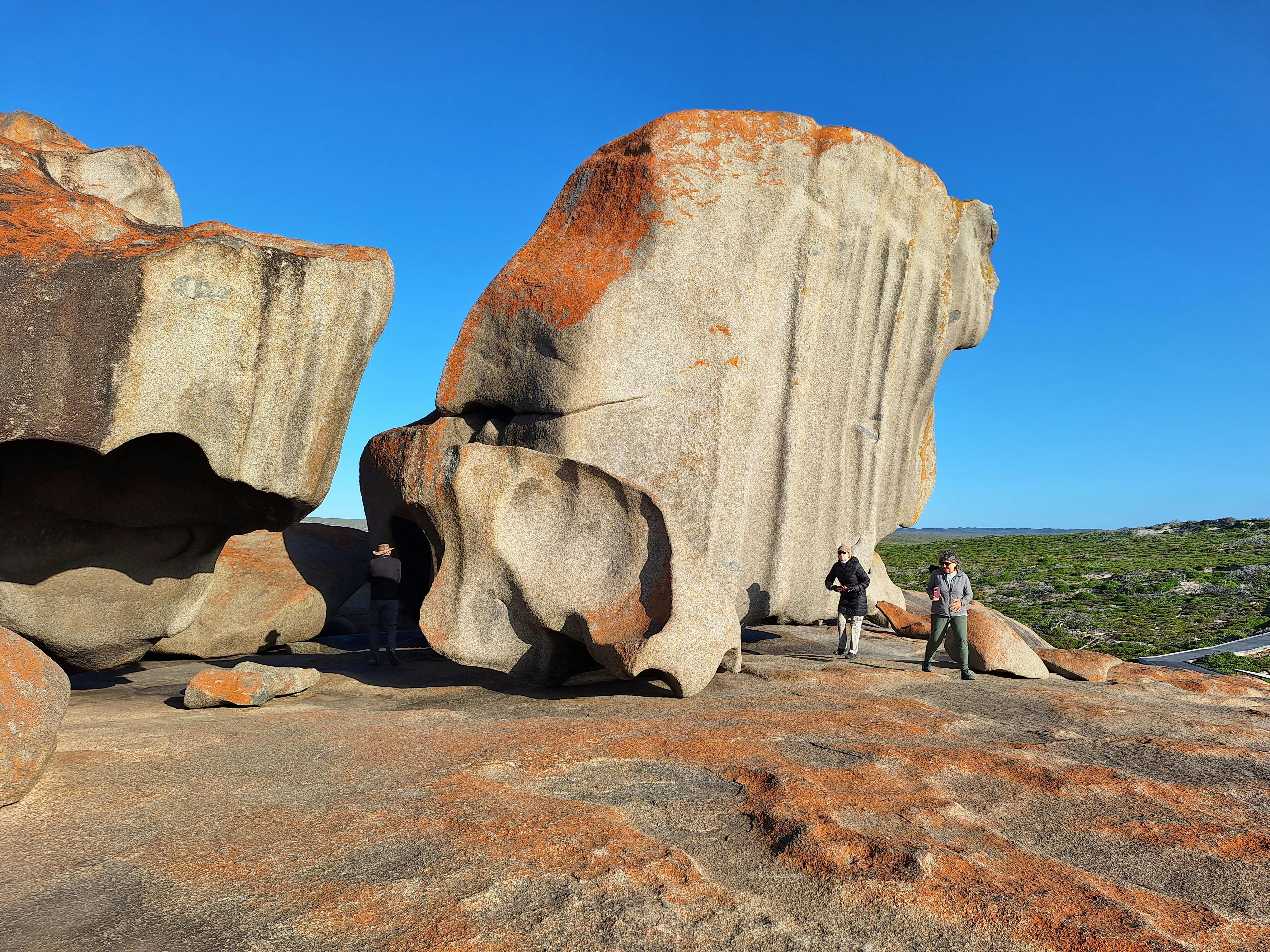 Intrepid Kangaroo Island Day Tours