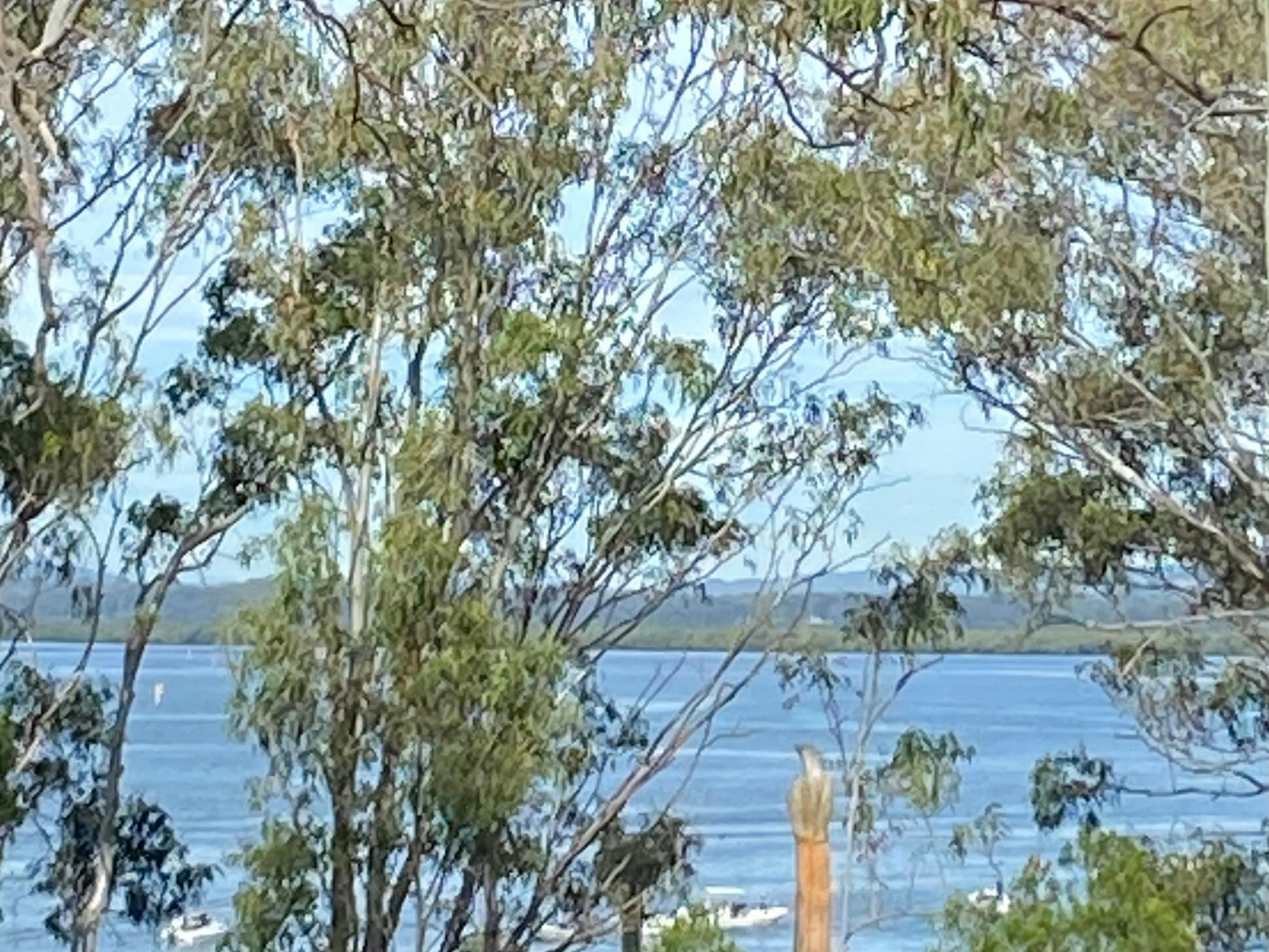 View from 8th Sense Kitchen Deck