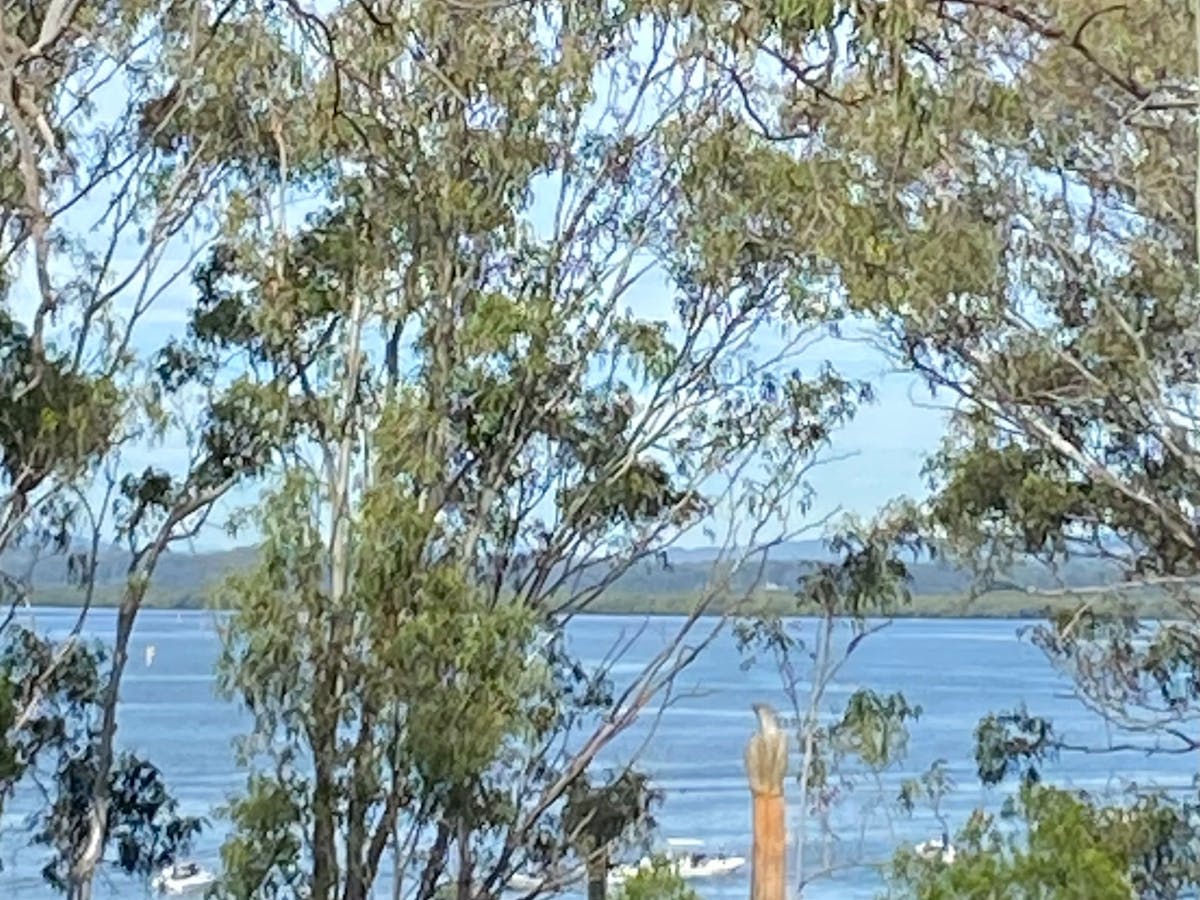 watch the ferries come and go while enjoying a housemate gelato