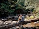 Couple sitting on a large tree trunk at Keppel Falls