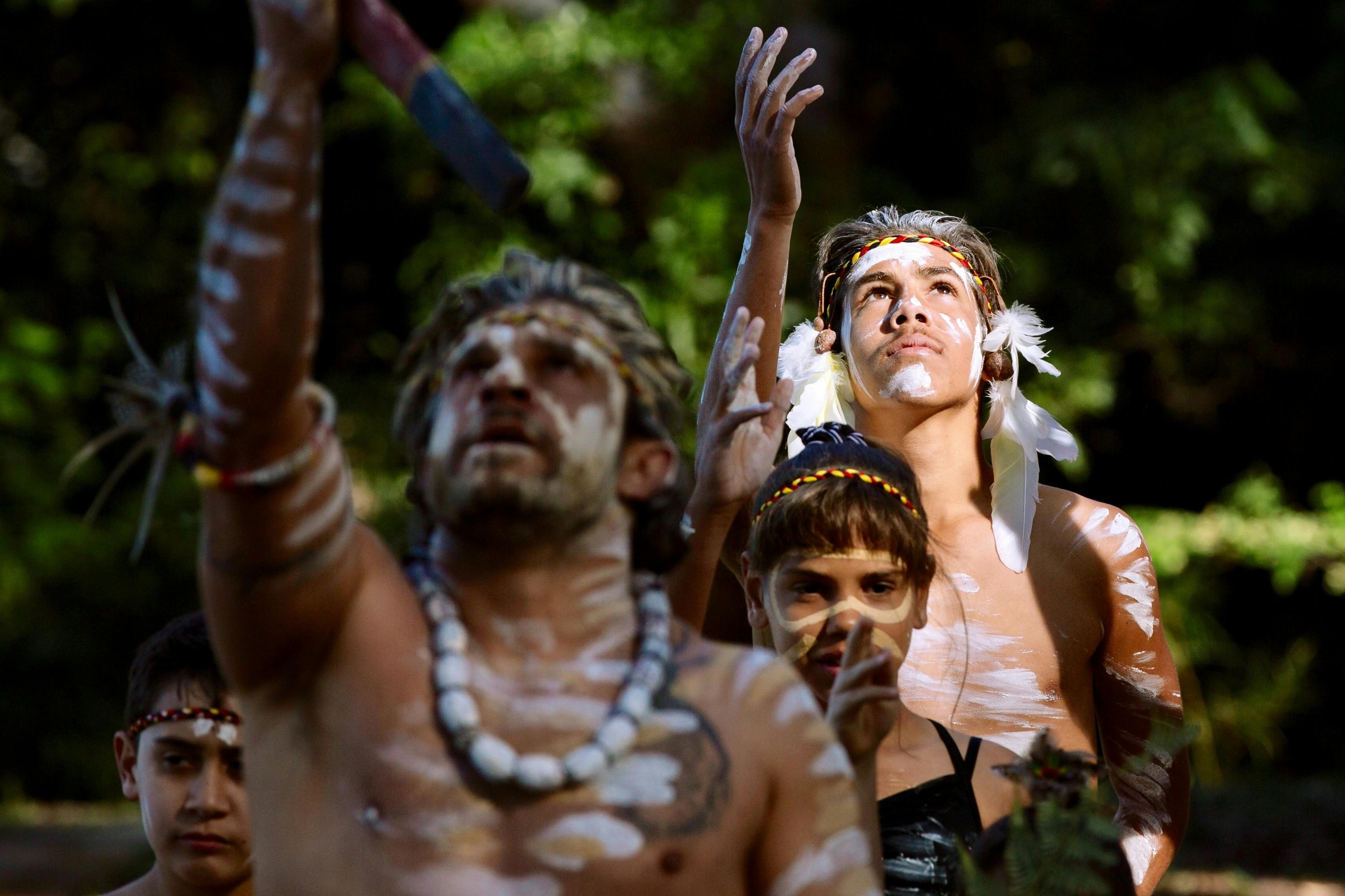 Aboriginal men performaning traditional dance for Giingan tour guests in Coffs Harbour