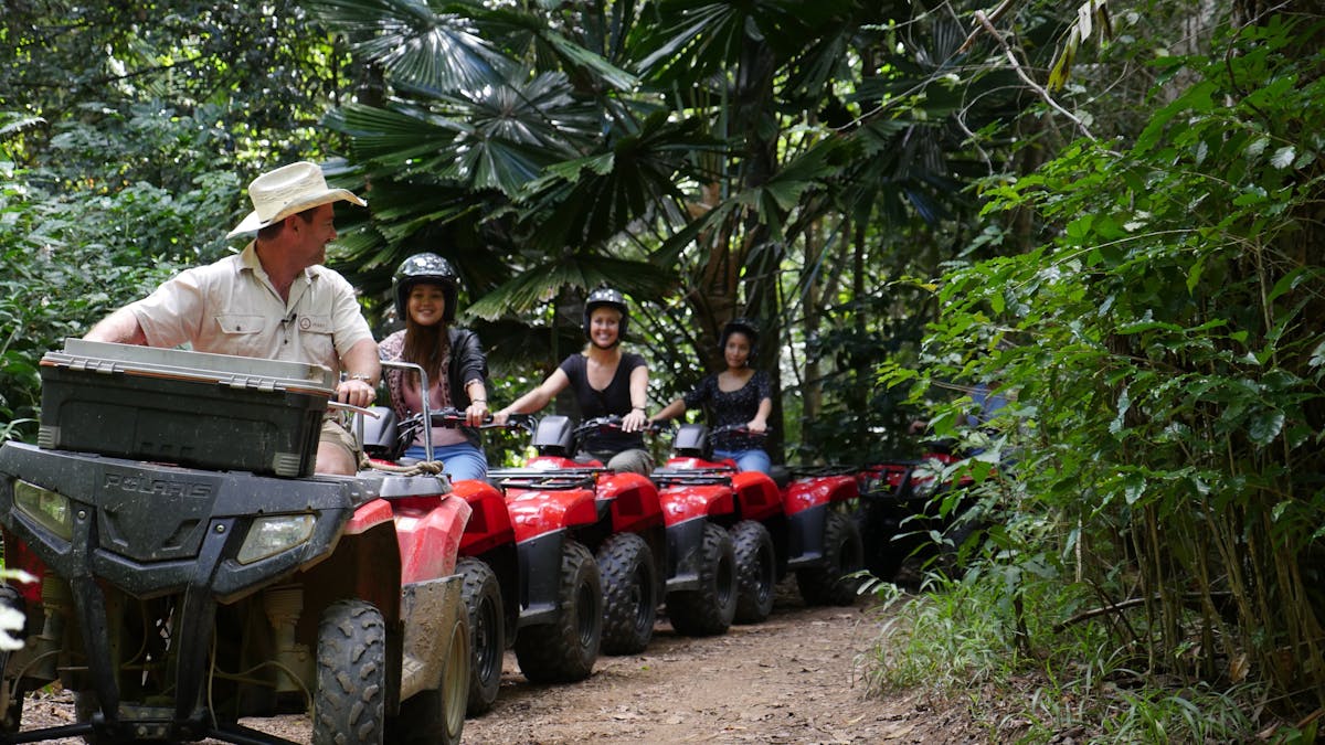 Exploring rainforest on ATVs