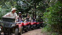 Exploring rainforest on ATVs