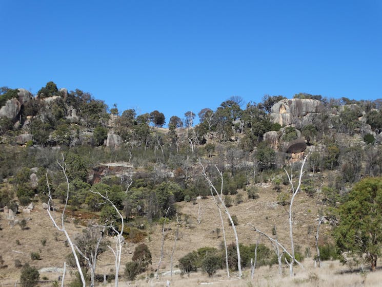 Historically a bushranger's hideout, The Cave sits within this massive granite outcrop