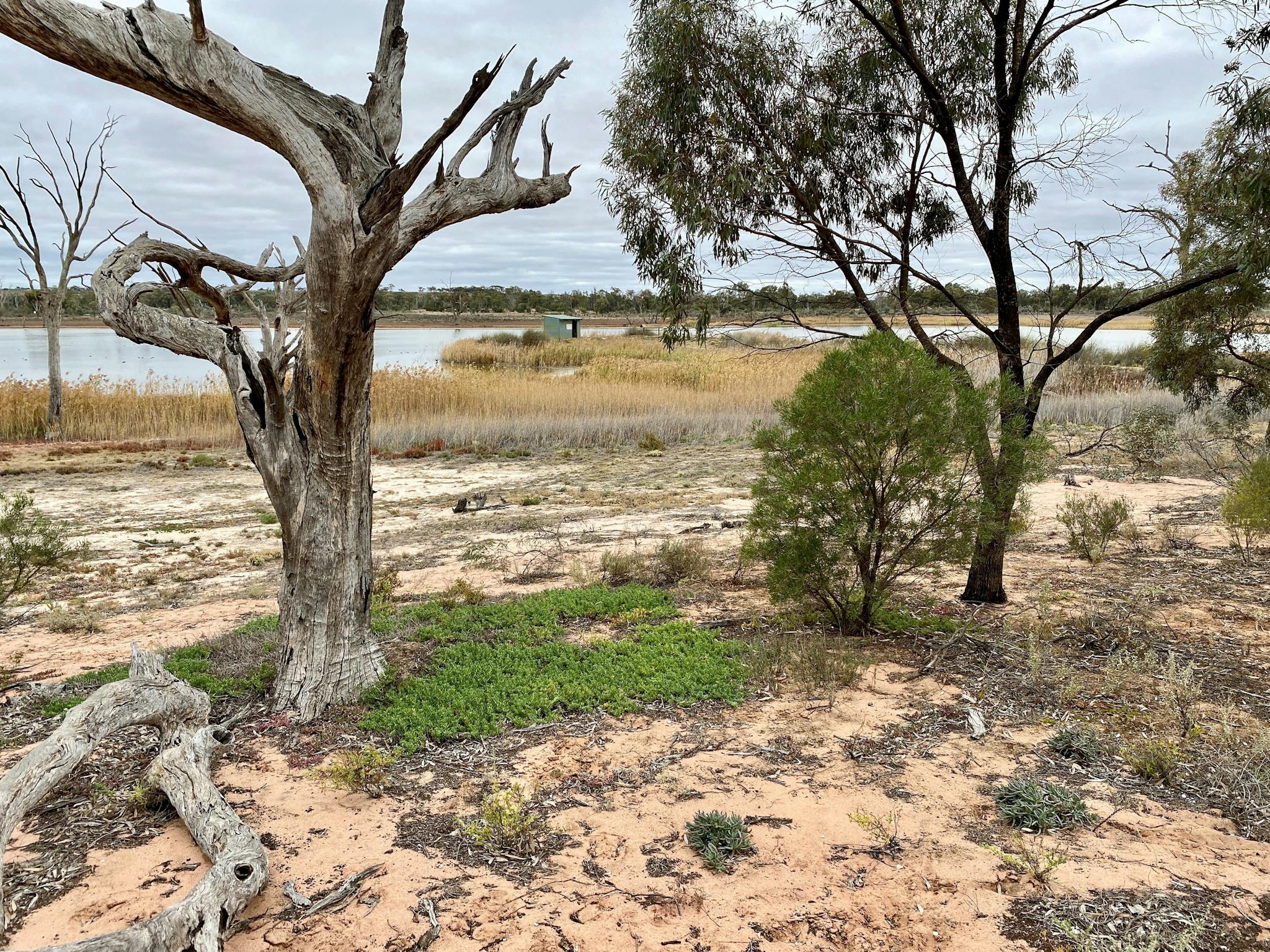 Bird Hide - access from trail and Ramco Road